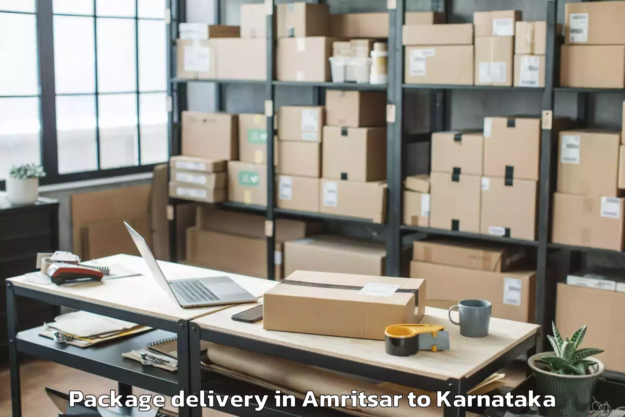 Trusted Amritsar to Harpanahalli Package Delivery